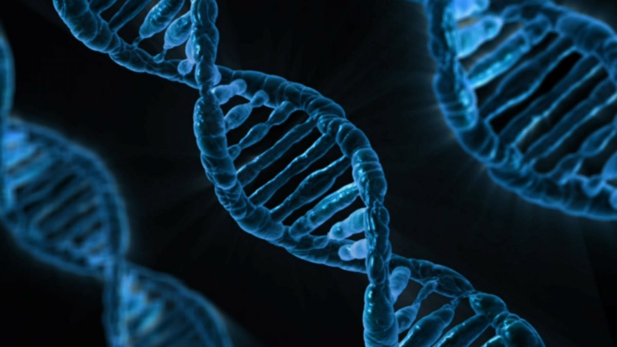 artificial reproductive technology